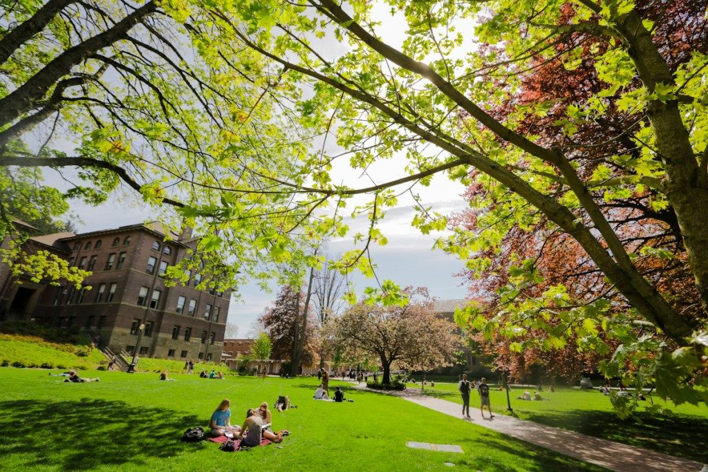 Best Online Colleges in Washington