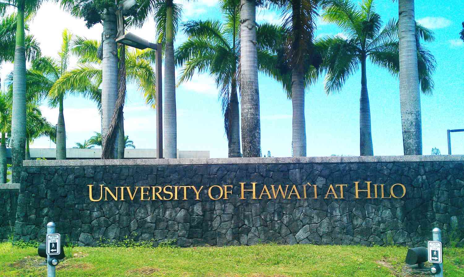 Best Online Colleges in Hawaii